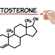 Como a testosterona e a progesterona se interagem no organismo de um homem